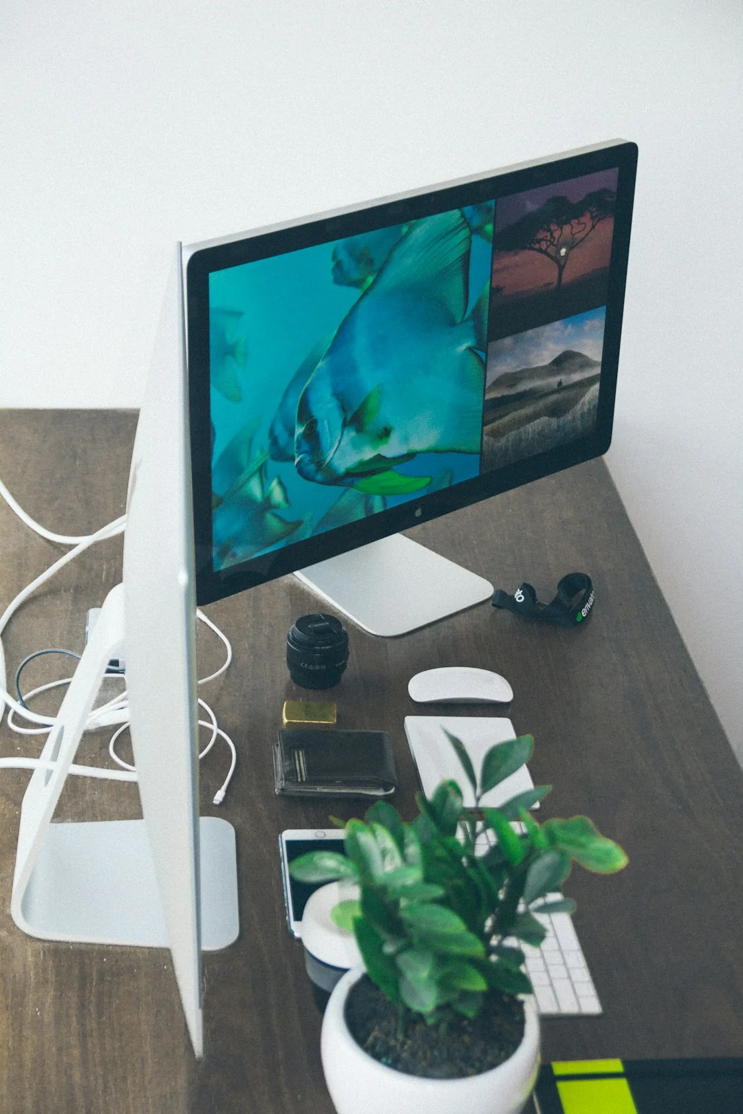 A modern workspace featuring dual computer monitors displaying web design projects, emphasizing technology and productivity.